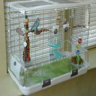 medium vision bird cage for sale