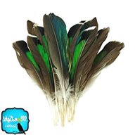 duck feathers for sale