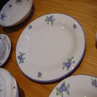 royal doulton everyday blueberry for sale