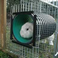 rabbit tunnel large for sale