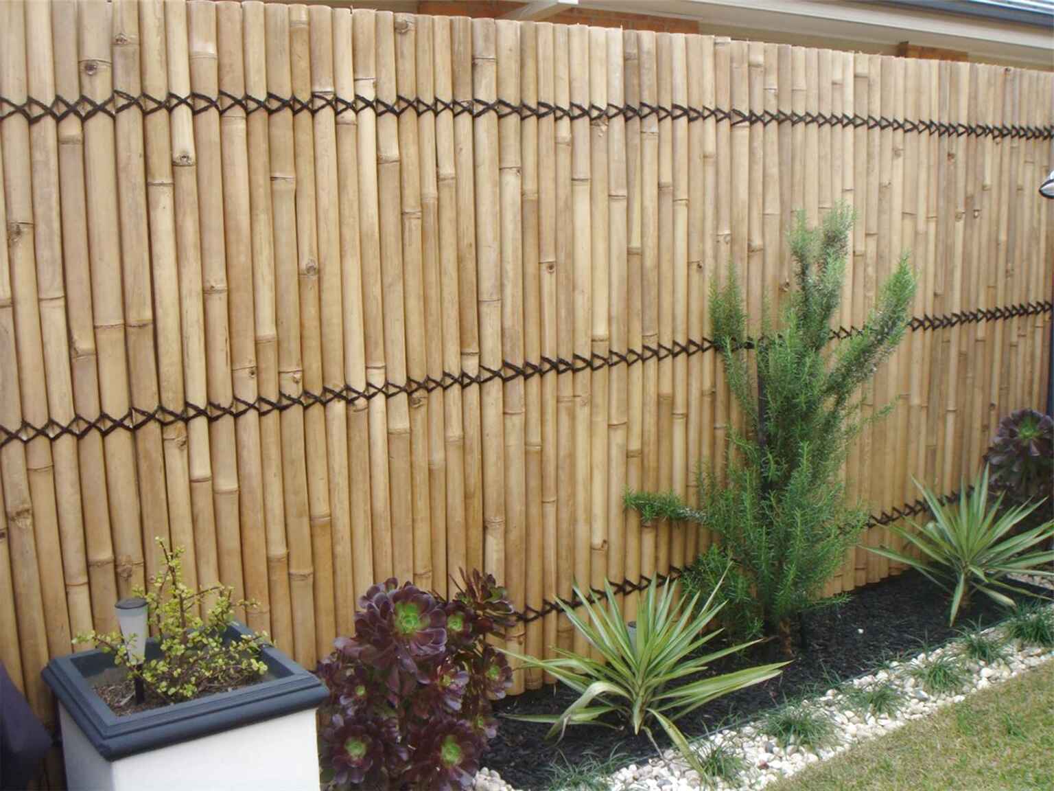 Garden Bamboo Screening for sale in UK | View 66 bargains