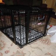 double dog crate for sale