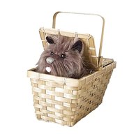 toto in basket for sale