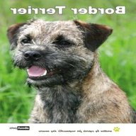 border terrier books for sale