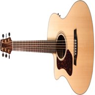 walden acoustic guitar for sale