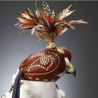 falcon hood for sale
