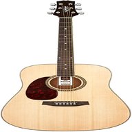 ashton guitar for sale