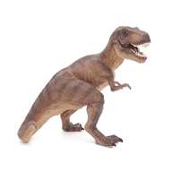 dinosaur top for sale