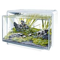 superfish tank for sale