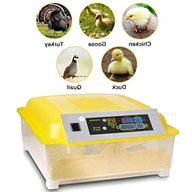 duck incubator for sale