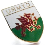 pin badges wales for sale