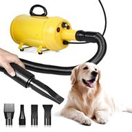 dog hair dryer for sale