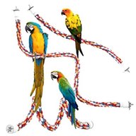 parrot rope perch for sale