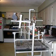 parrot play gym for sale