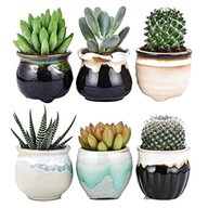 ceramic pots for sale