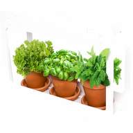 indoor herb garden for sale