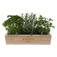 wooden herb box for sale