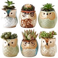owl plant pots for sale