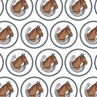 horse wrapping paper for sale