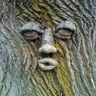 tree faces for sale