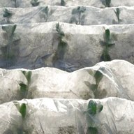 horticultural fleece for sale