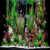 tropical fish tank accessories for sale