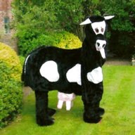 pantomime cow costume for sale