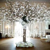 wedding trees for sale
