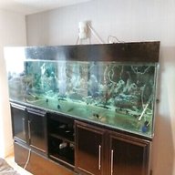 8ft aquarium for sale
