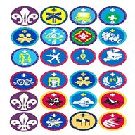 scout badges for sale