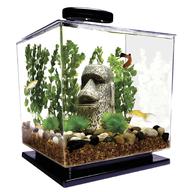 cube aquarium for sale