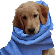 large dog towel for sale