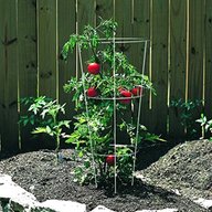tomato baskets for sale
