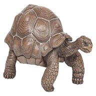 tortoise toys for sale