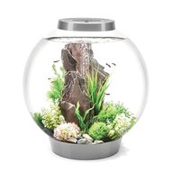 biorb aquarium for sale