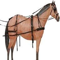 horse harness full for sale