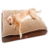 extra large dog beds for sale