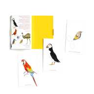 bird postcards for sale