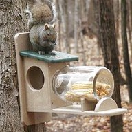 squirrel feeder for sale