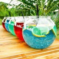 cocktail fish bowls for sale