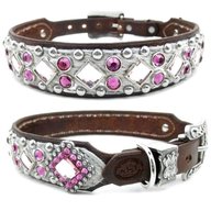 fancy dog collars for sale