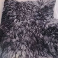 curly sheepskin for sale