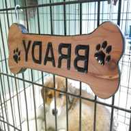 dog name plaques for sale