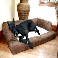 xxxl dog bed for sale