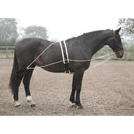 pessoa lunging aid for sale