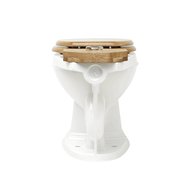 pull chain toilet for sale
