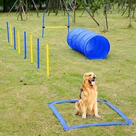 dog agility set for sale