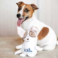 toy jack russell for sale