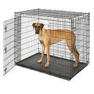 dog large dog kennel for sale