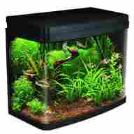 fish tank 40 litre for sale